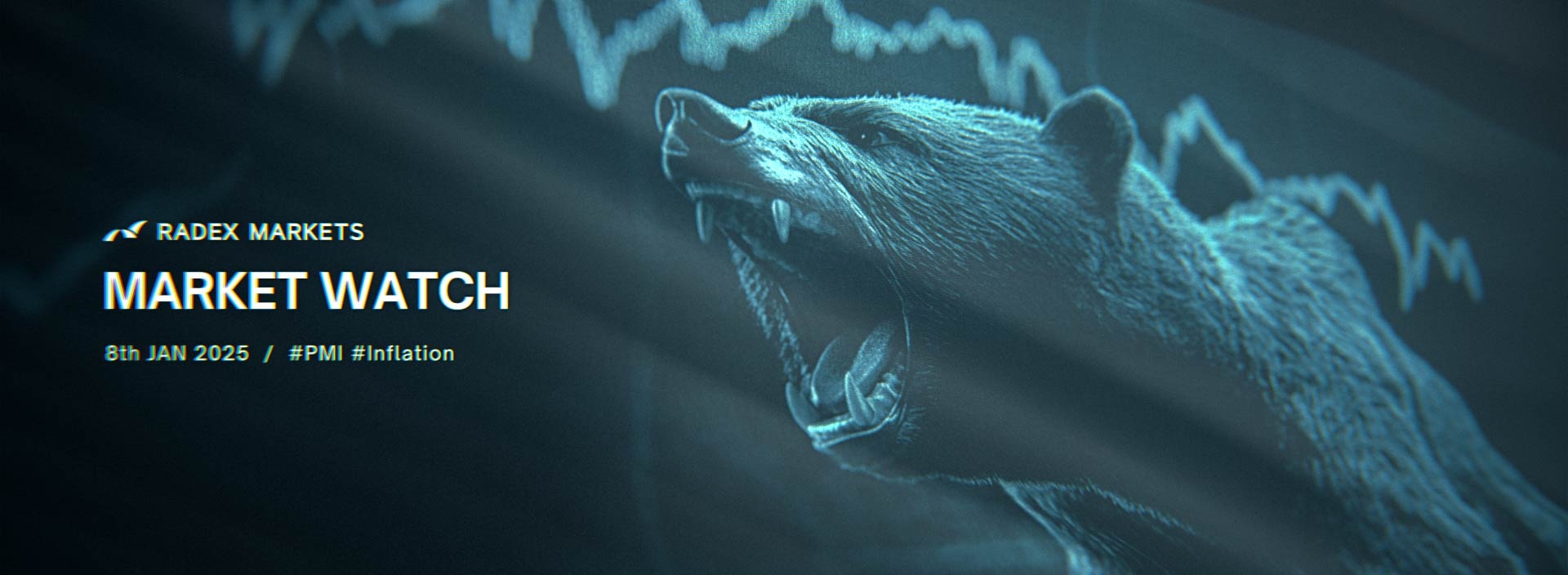 banner of the news detail