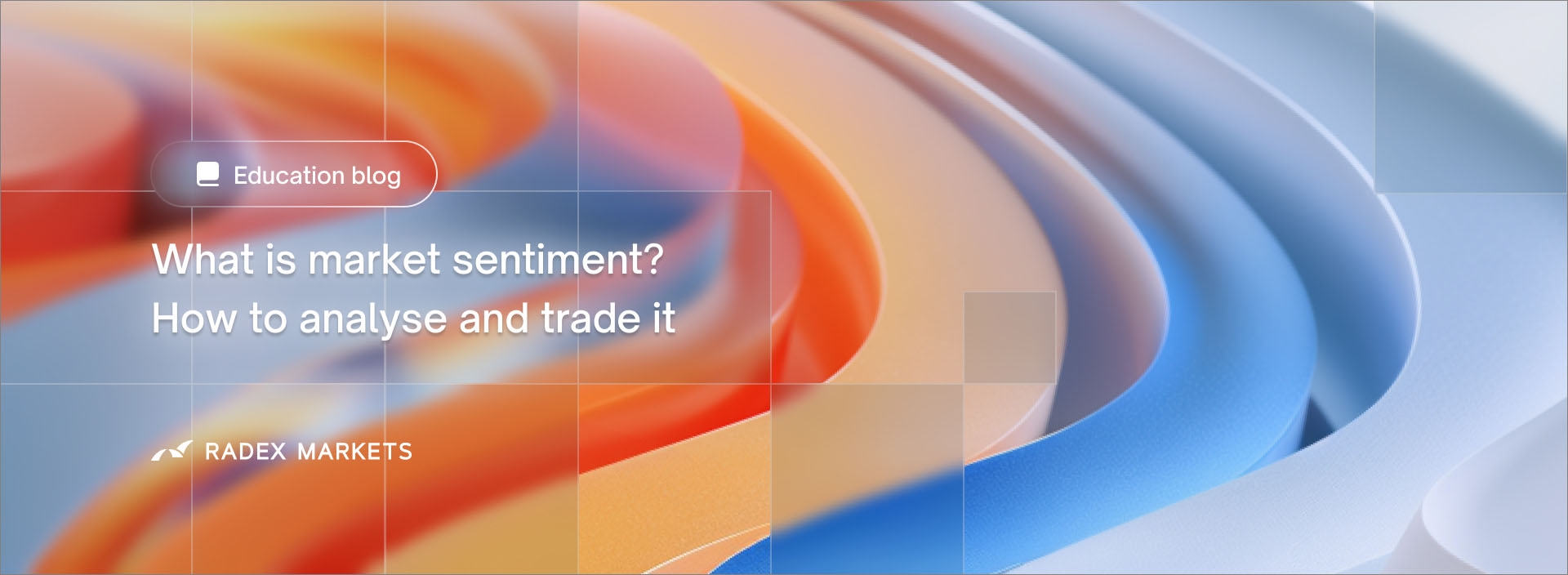 banner of the news detail