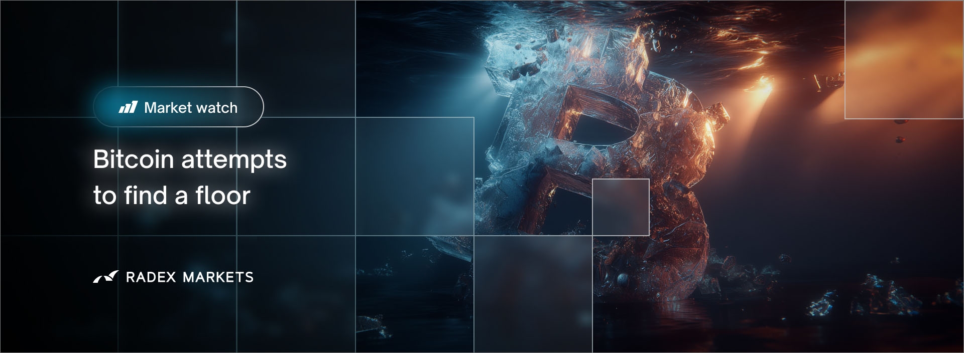 banner of the news detail