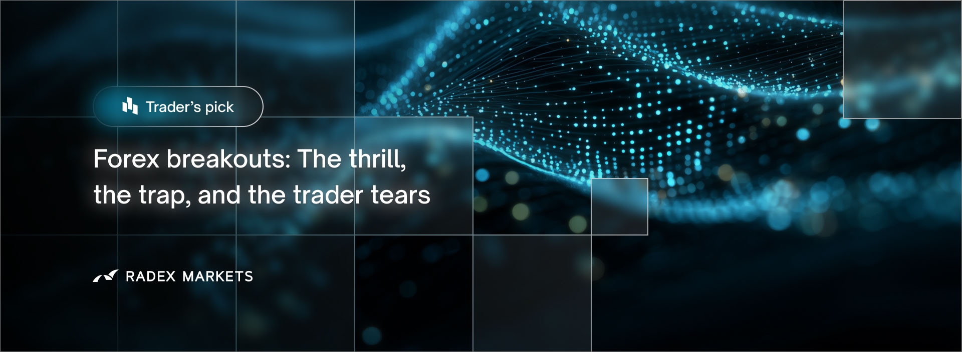 banner of the news detail