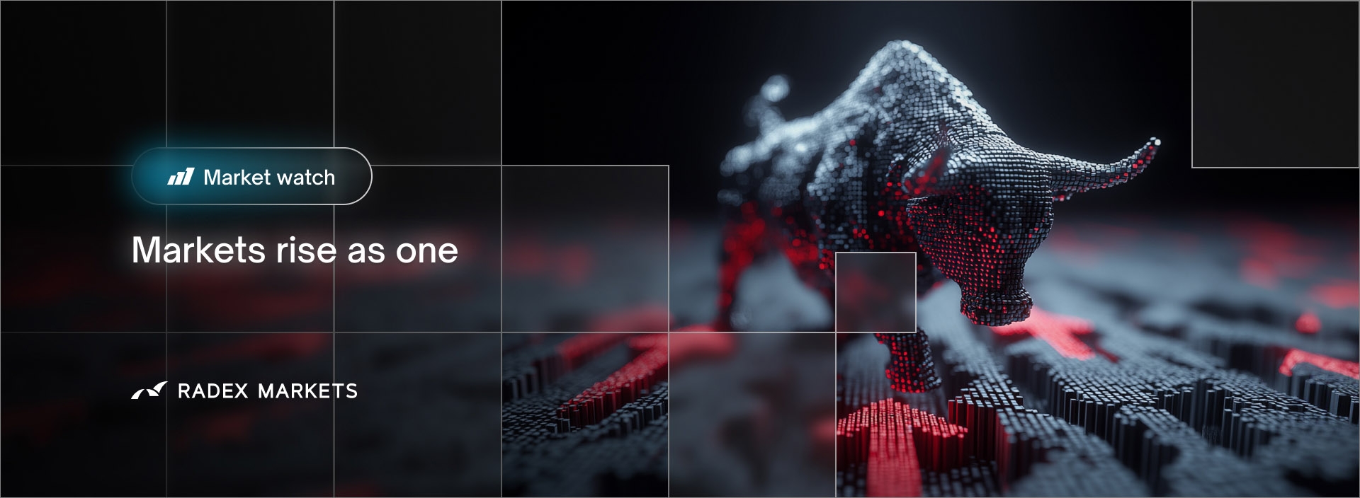 banner of the news detail