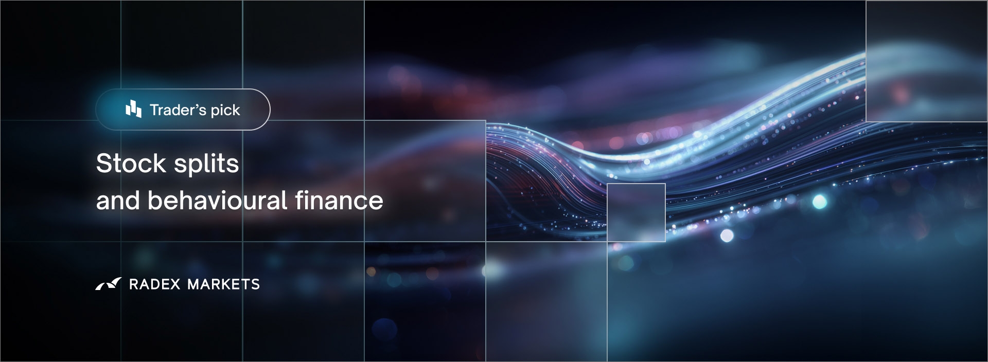 banner of the news detail