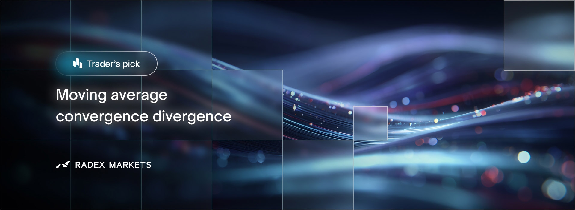 banner of the news detail