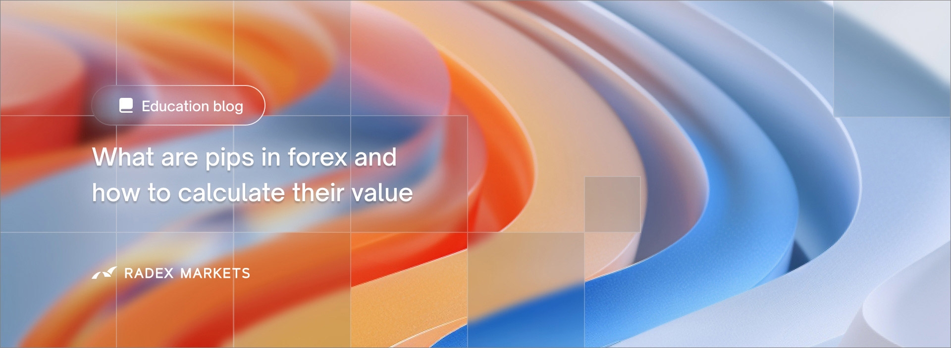 banner of the news detail