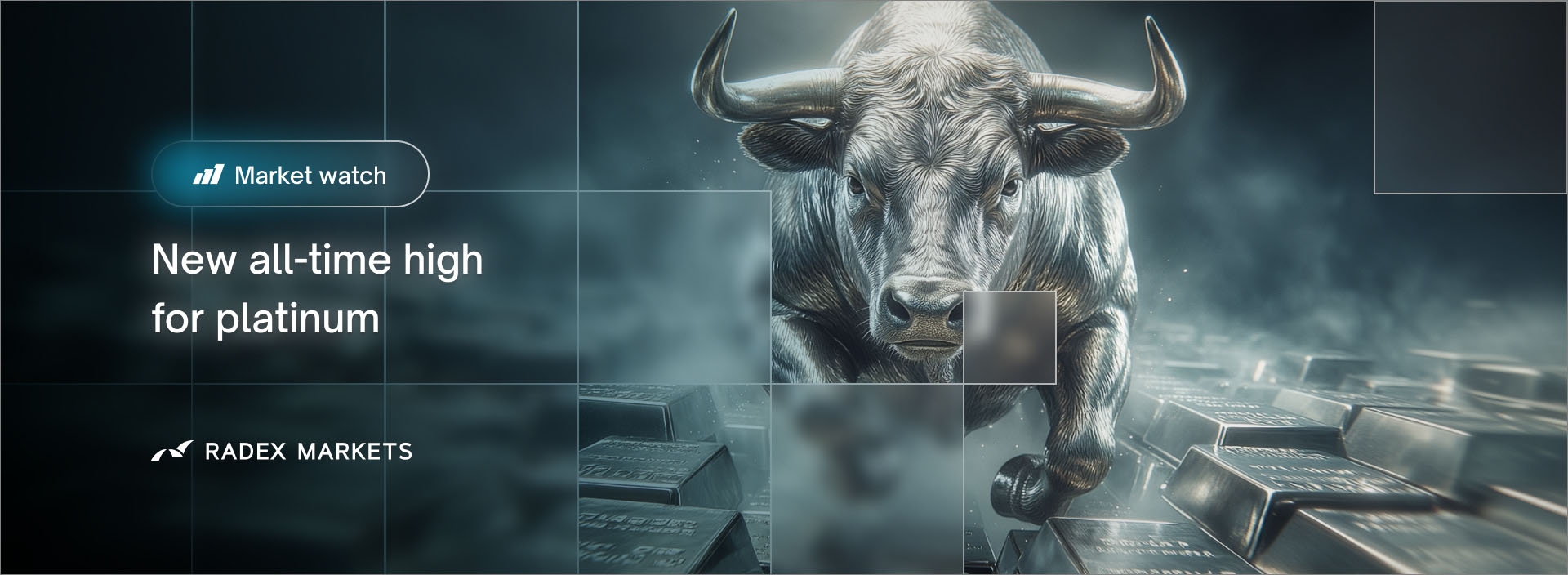 banner of the news detail