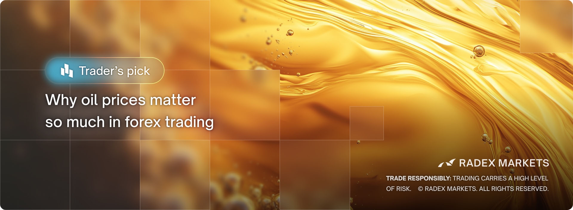 banner of the news detail